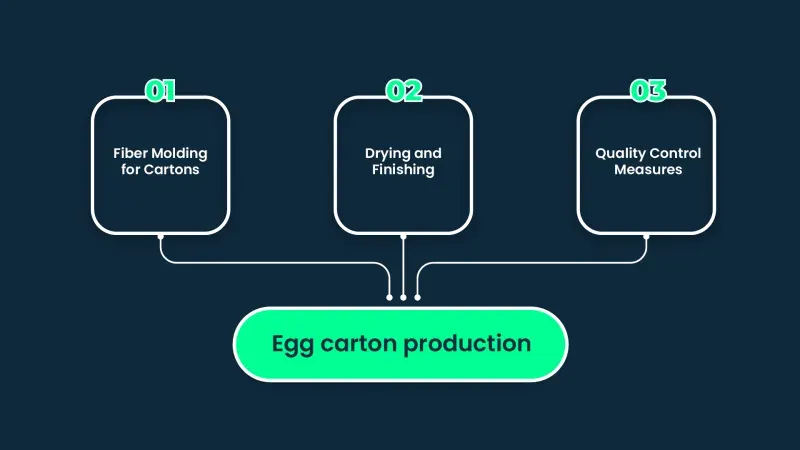 Egg carton production
