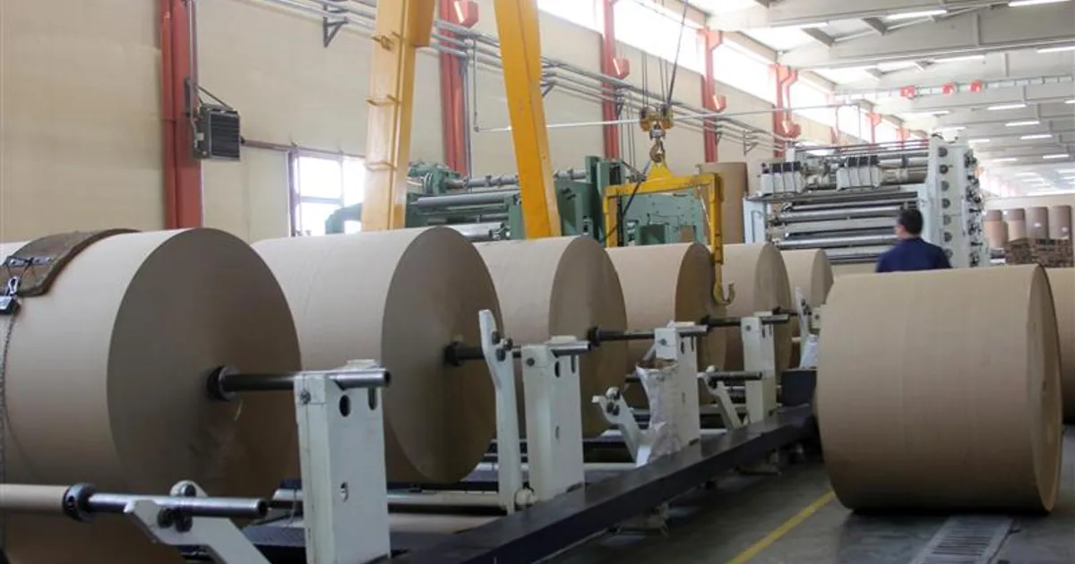 Kraft Process in Paper Mill: Steps & Recovery Guide