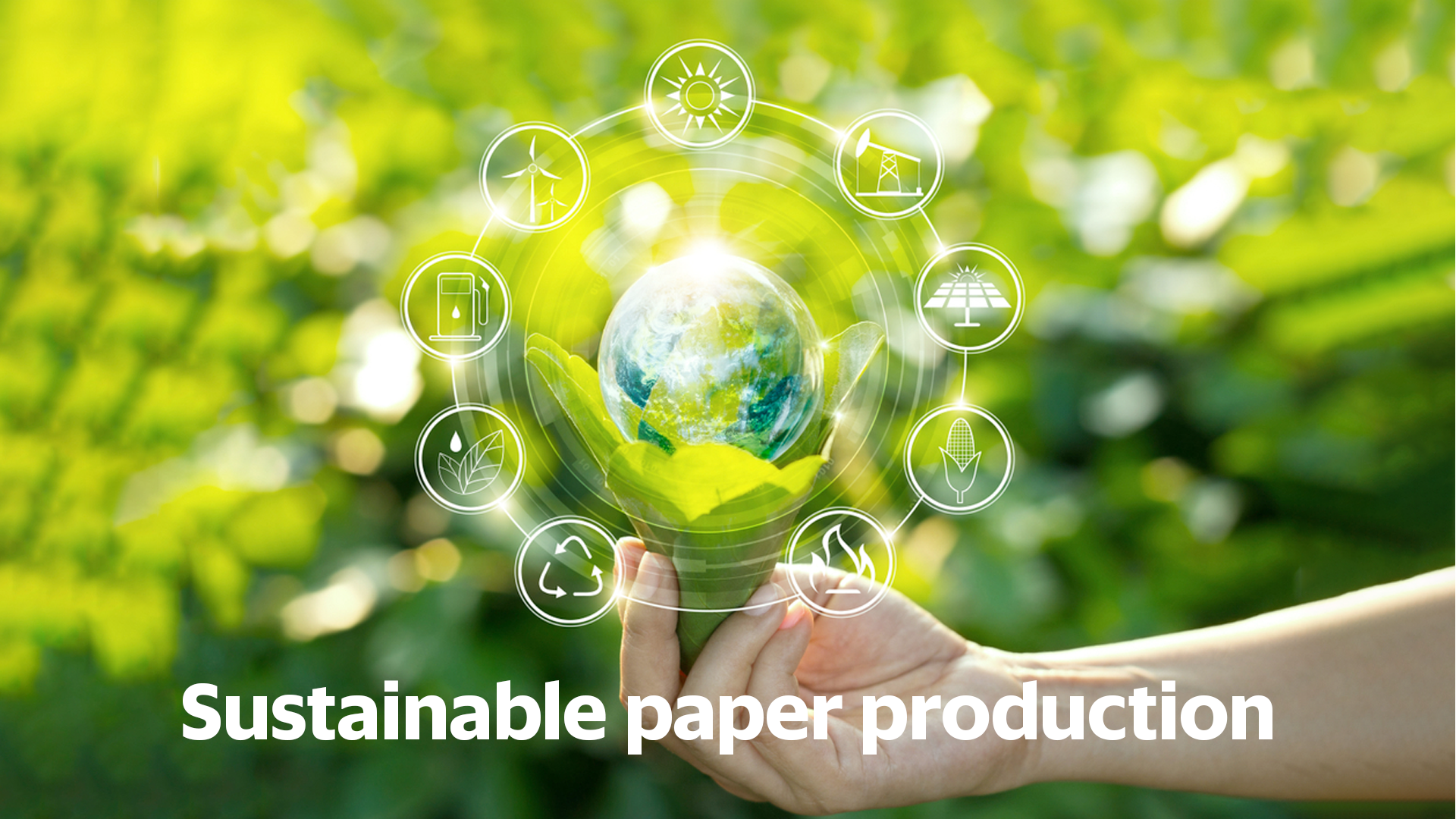 An In-Depth Look at Sustainability in Paper Production