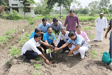 Parason Tree Plantation and Afforestation Drive